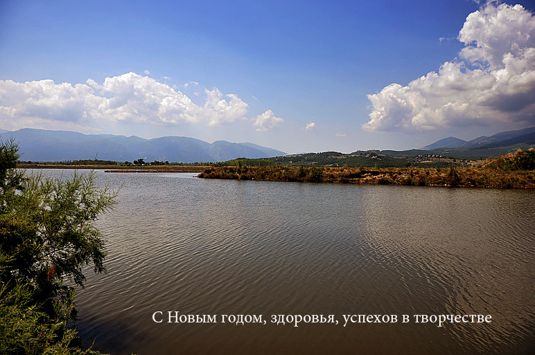 Frohes Neues Jahr, gute Gesundheit, Erfolg in der Arbeit
