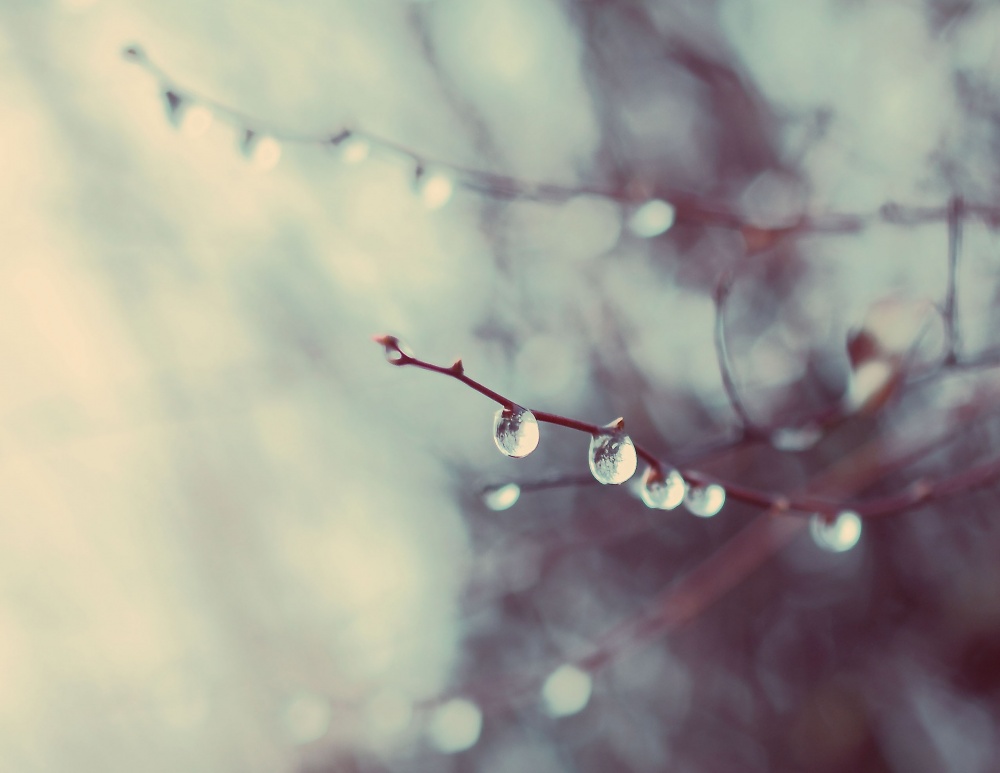 Morgen des 31. dnkabrya)