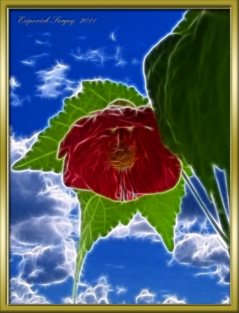 Erinnerung an den Sommer