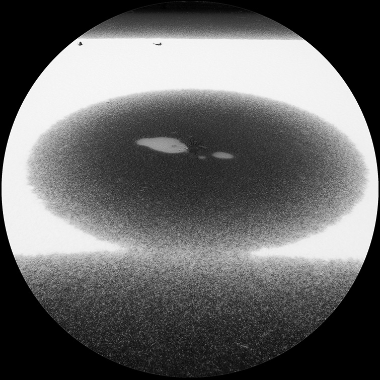 Happy New Year, Erdlinge!