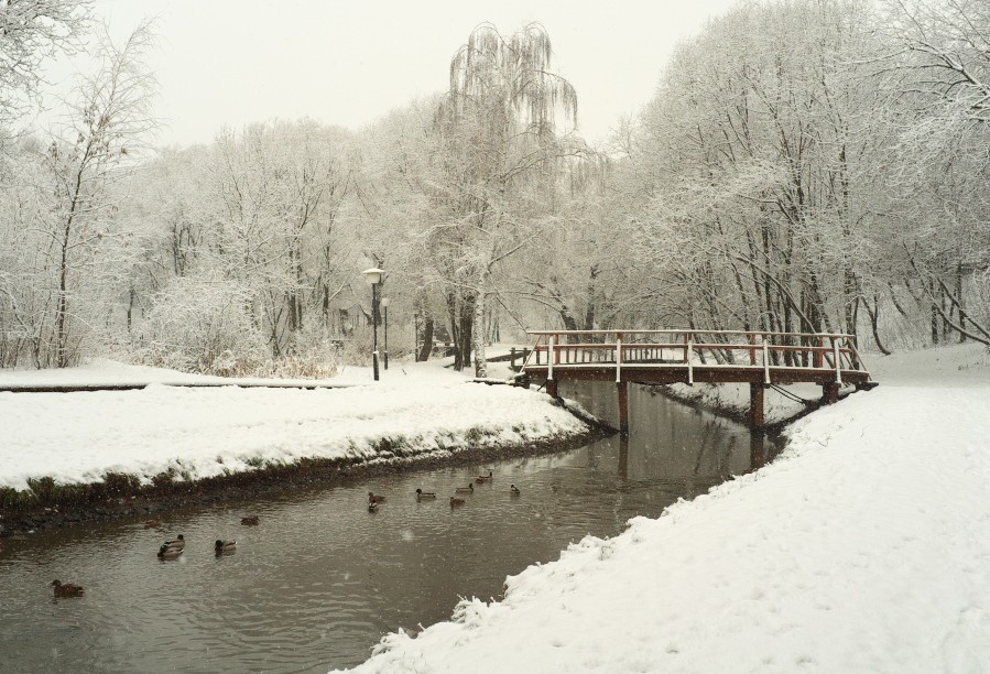 Wo ... - es weit, weit weg ist, gehen Pilz regen ...