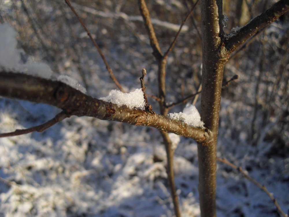 Na ja, hallo Winter!