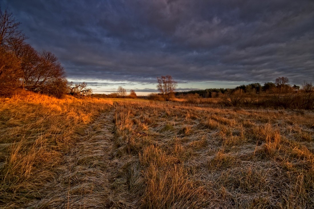 mit leicht prysypalo