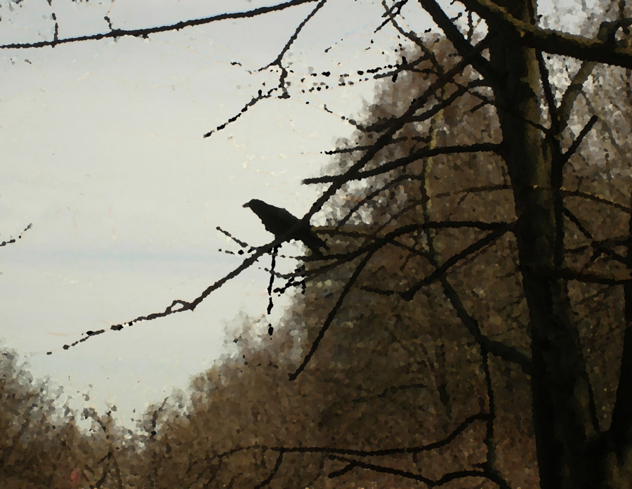 Erwartung des Winters