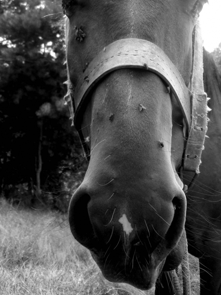 die weichste Stelle)