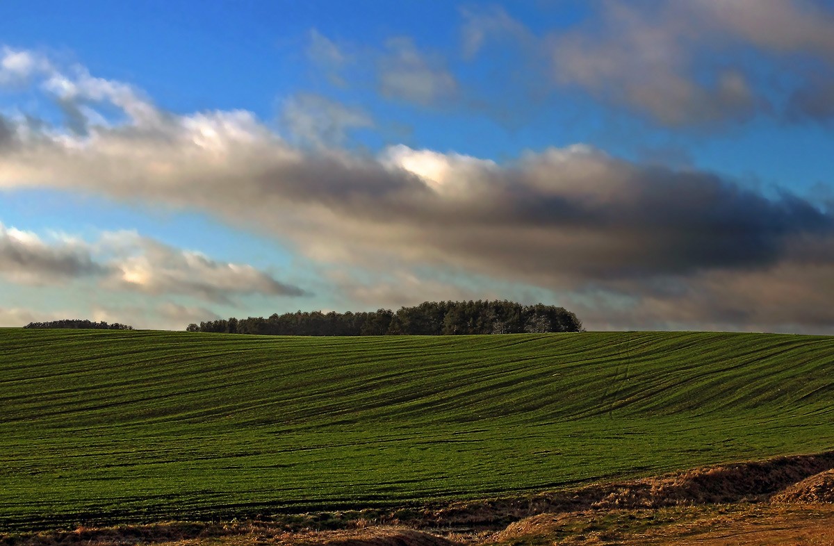 Dezember. Die Launen des Winters.