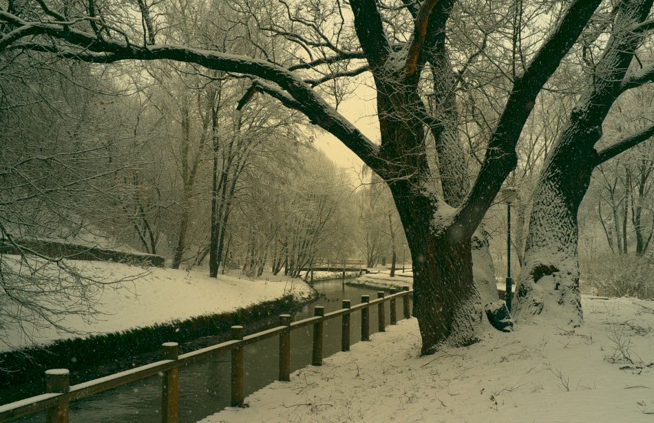Leer ... unser Garten, sind Sie weg ...