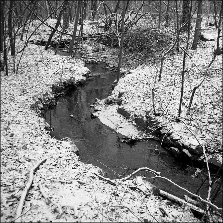 Noch zaghaft WINTER ...