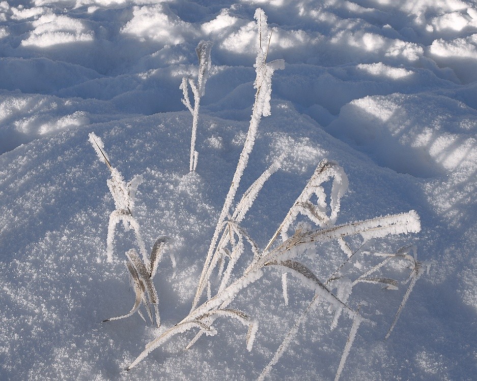 Winter-Haufen ... :)