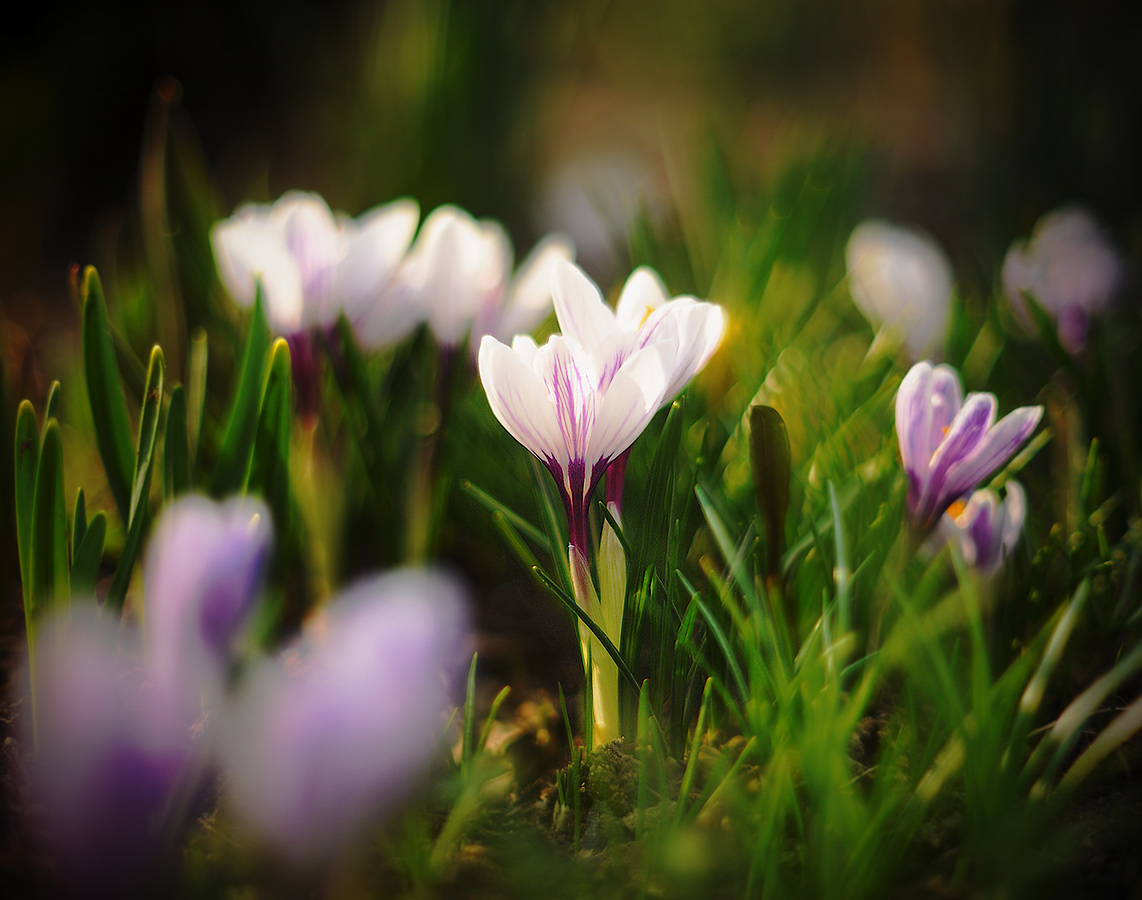 Flüssigkeiten Frühling
