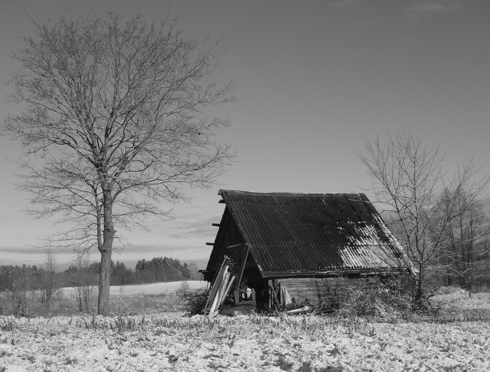 Lebst du noch, meine alte Dame? ..