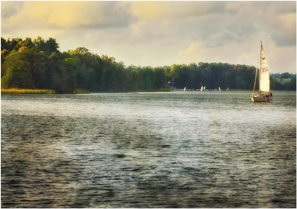 Die Autumn Breeze. Autumn Breeze.