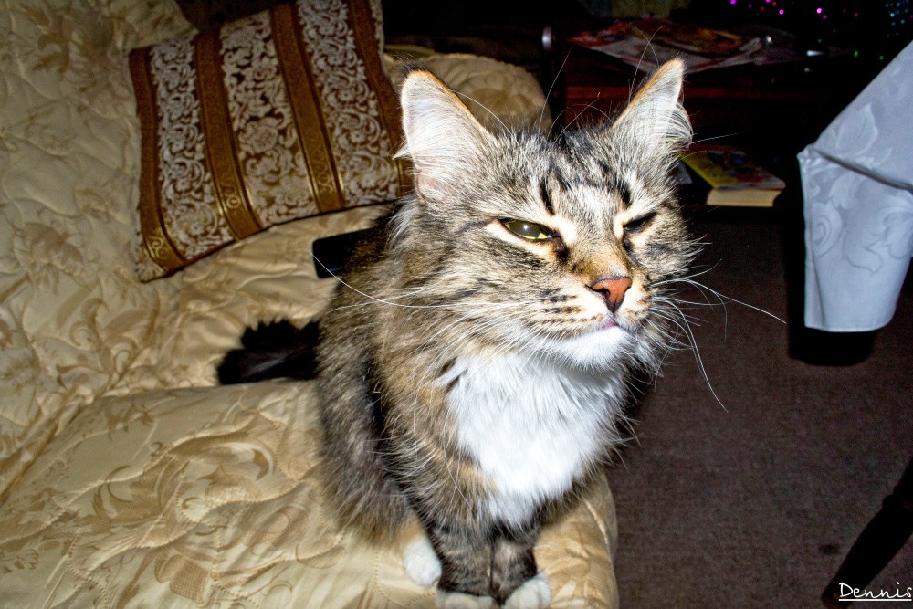 Sie befinden sich auf welches Thema?