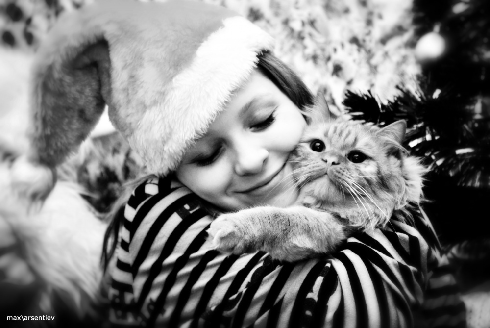 ein Mann und eine Katze