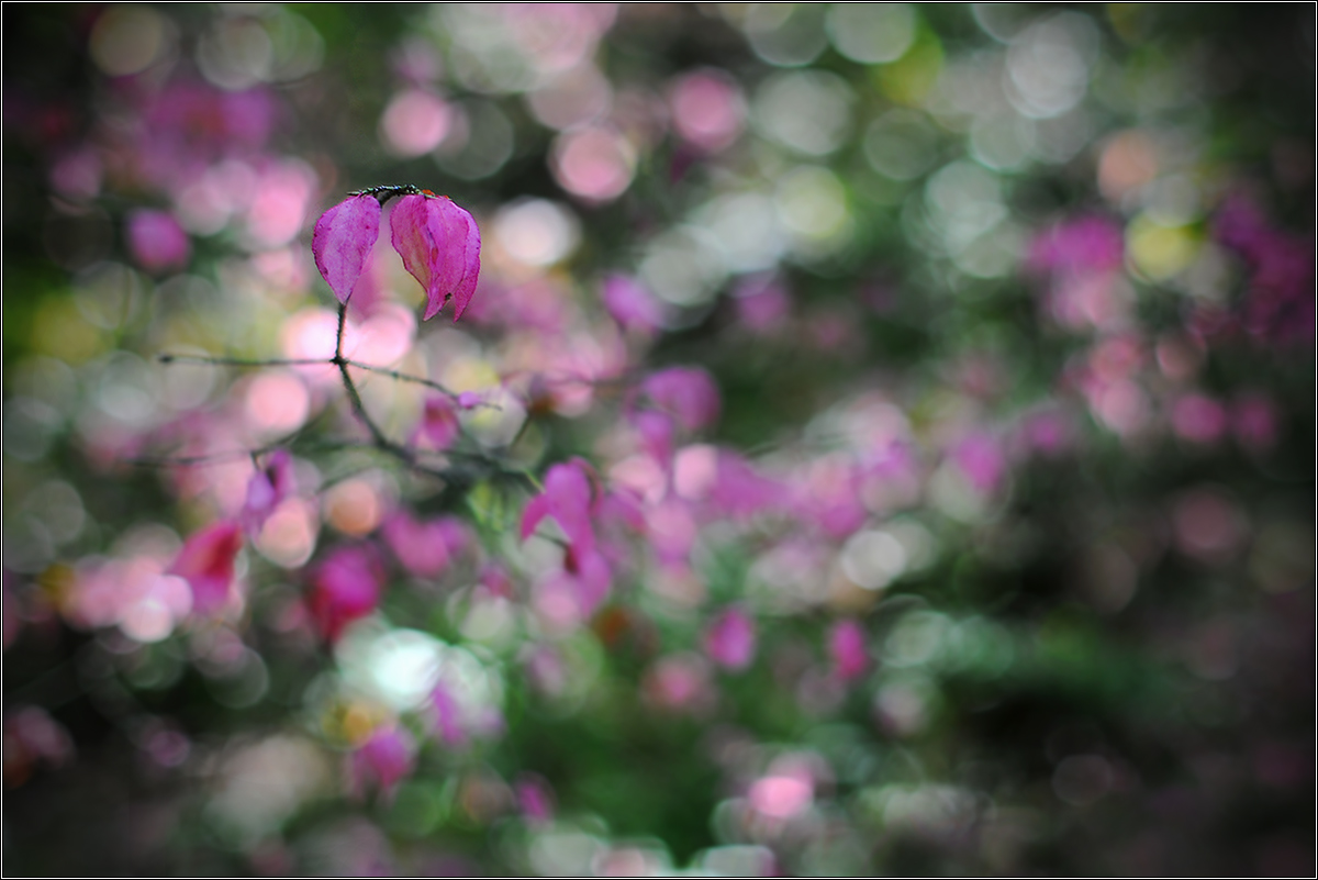 Flüssigkeiten fallen