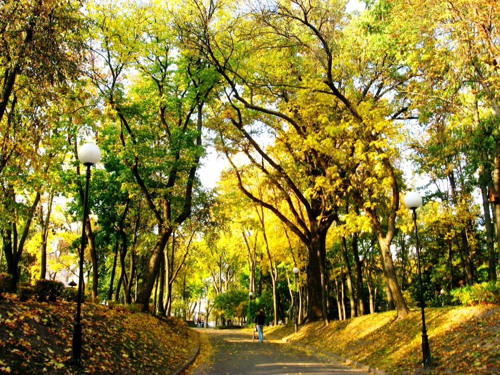 Herbst in der Stadt ...