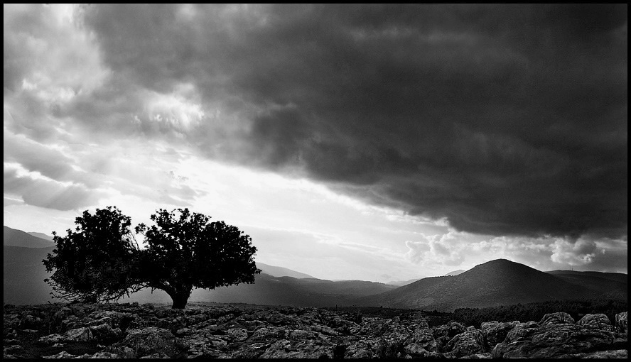 Wind, Wind! Sie sind mächtig ..