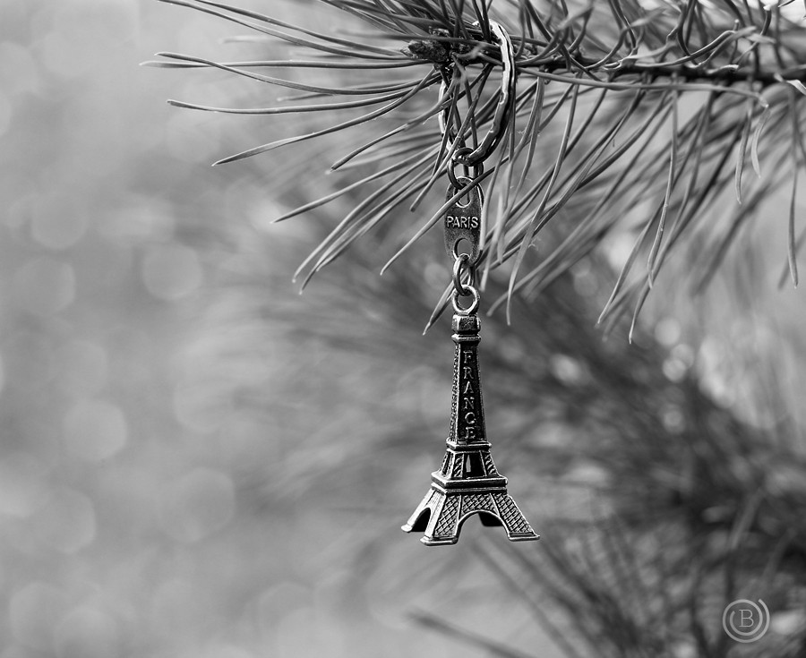 Memories of Paris ...