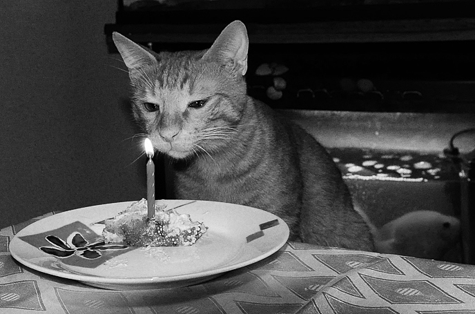 Geburtstag, Urlaub, traurig ..