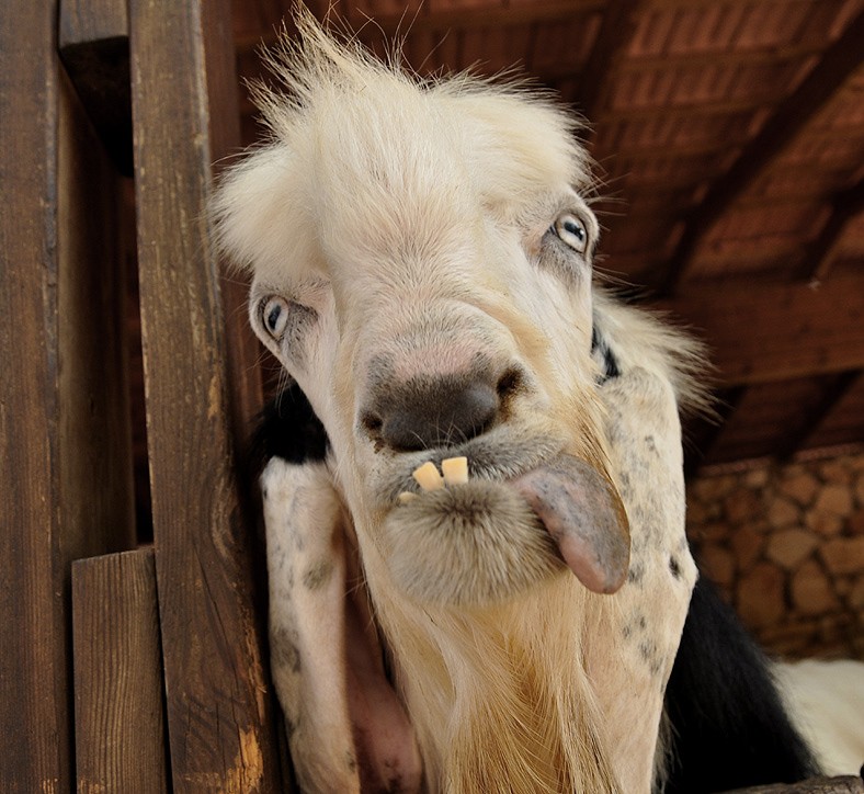 nicht geboren werden schön ..