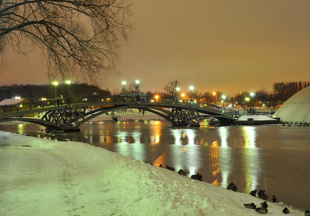 Die Brücke über den Teich