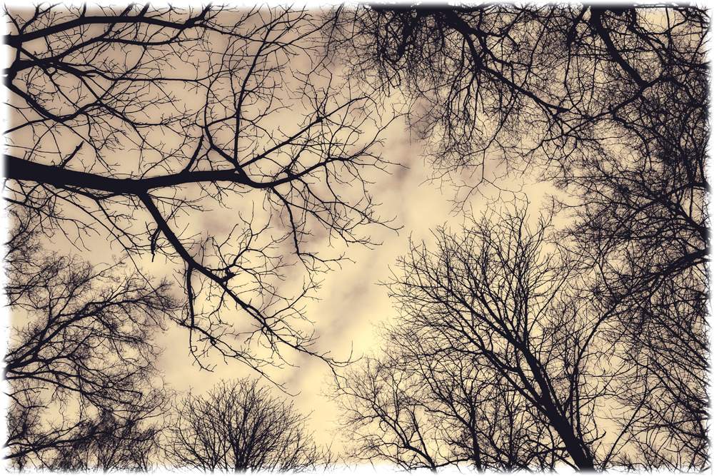 Auf dem Boden liegend