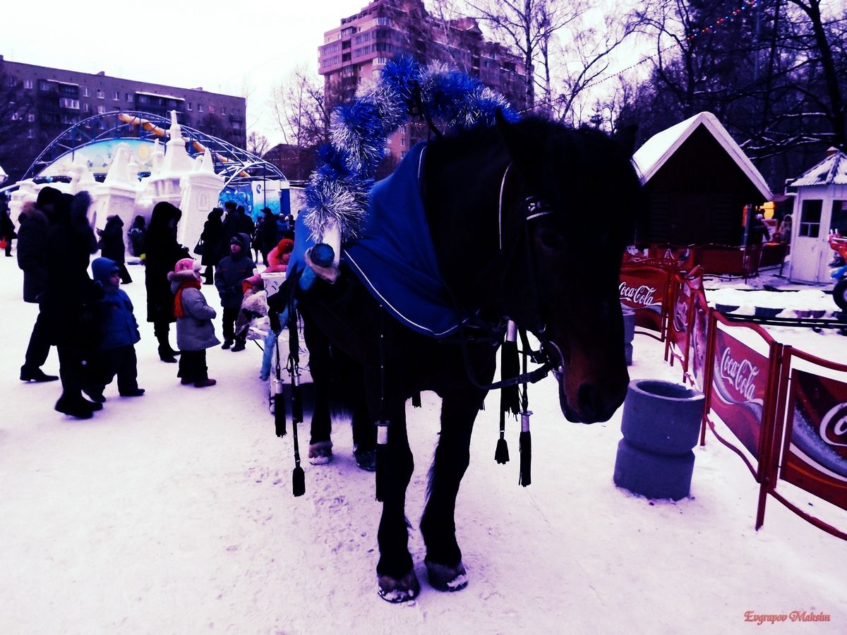 Wie bekomme ich alle