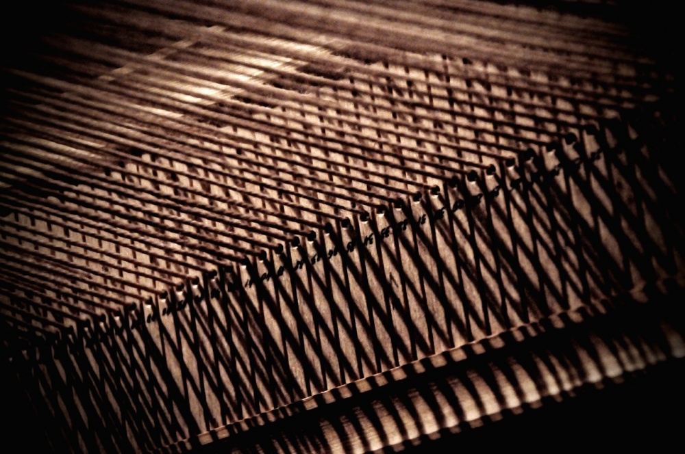 das Spiel von Licht und Schatten