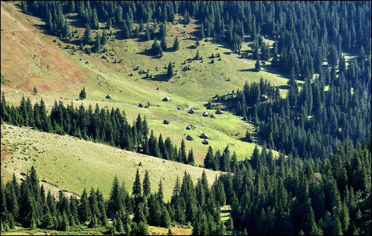 Auf dem Weg zum Mund ...