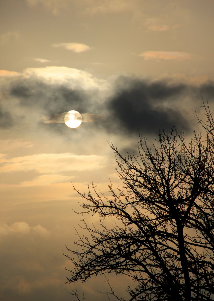 "Der Beginn des Tages"