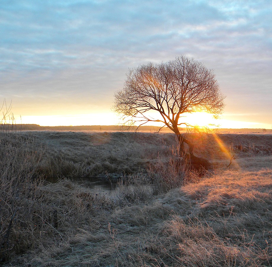 Die goldene Sonnenstrahl
