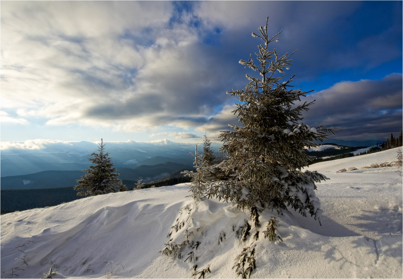 Kälte im Winter ...