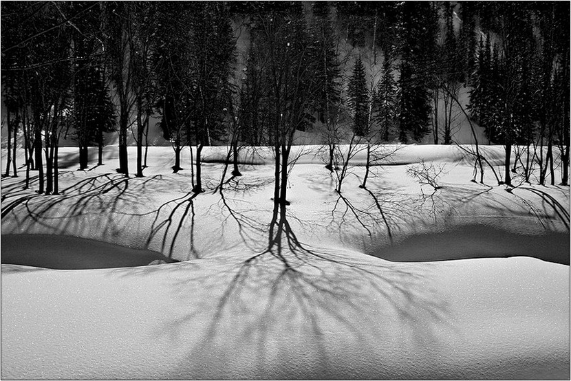 Nicht wecken eine schlafende Drache