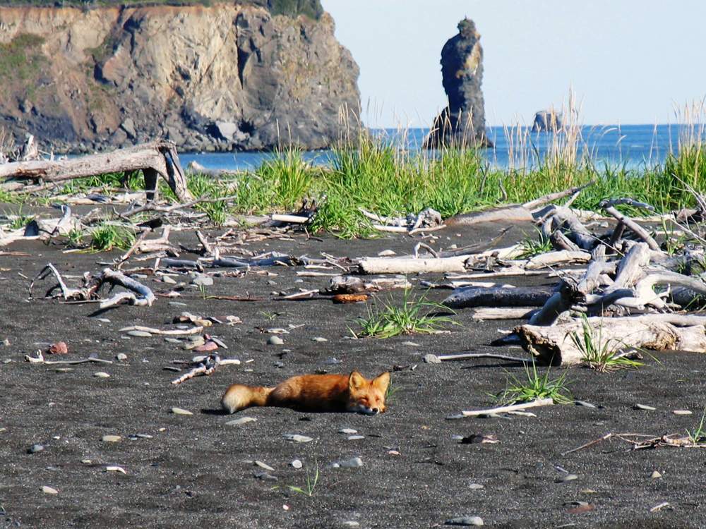 "Lassen Sie mich kennen zu lernen ..."