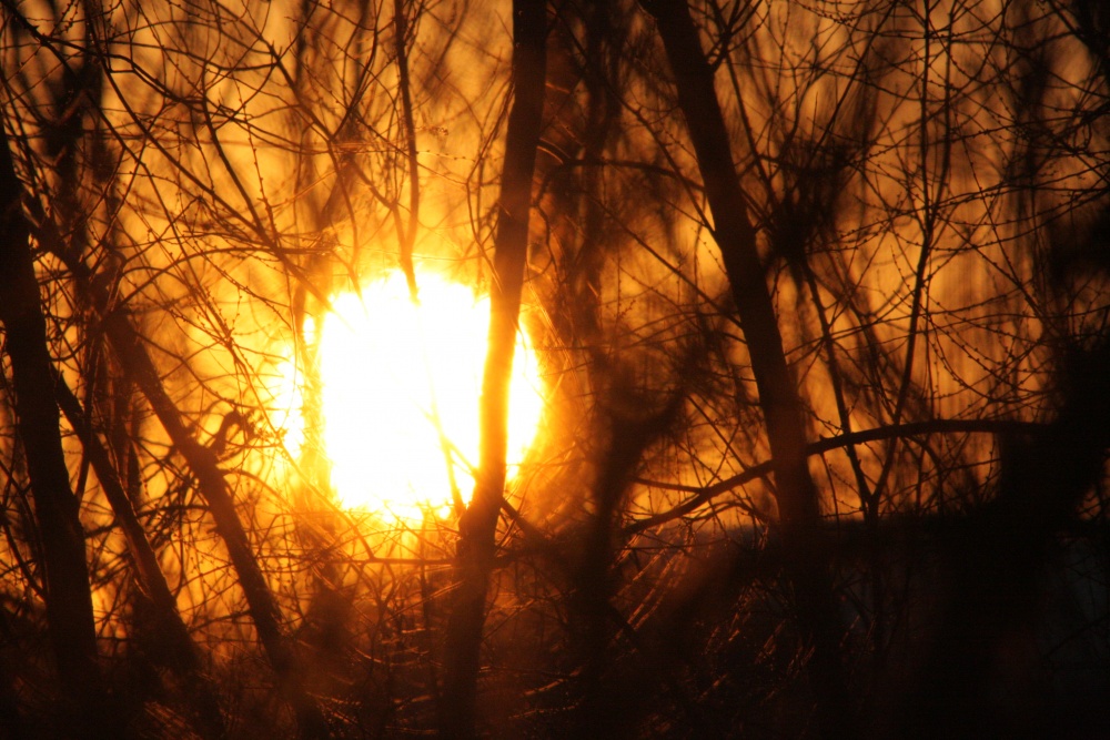 Dämmerung macht seinen Weg