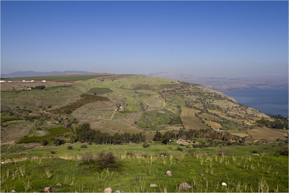 "Patches" in den Bereichen ...