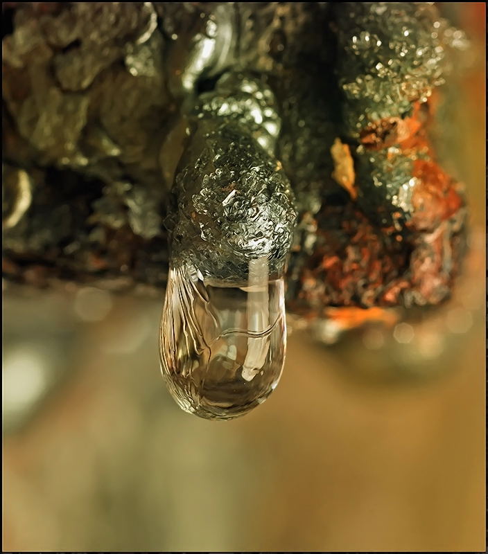 Champagner für das alte neue Jahr ...