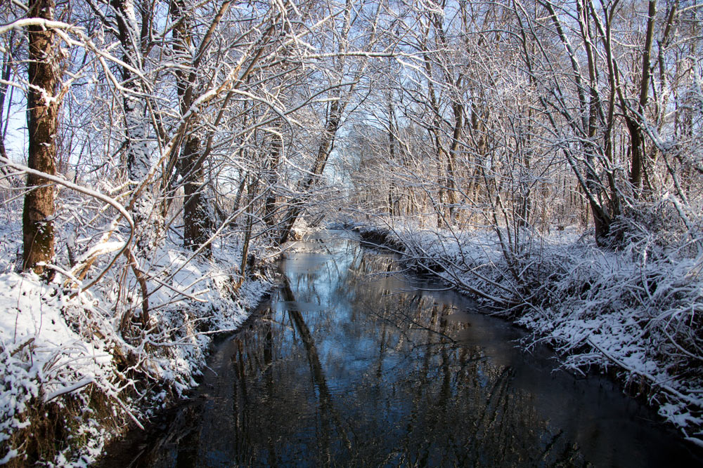 Der Fluss im Winter