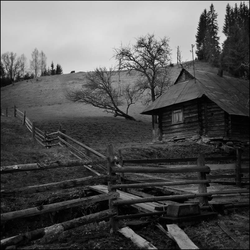 Frühling in den Karpaten