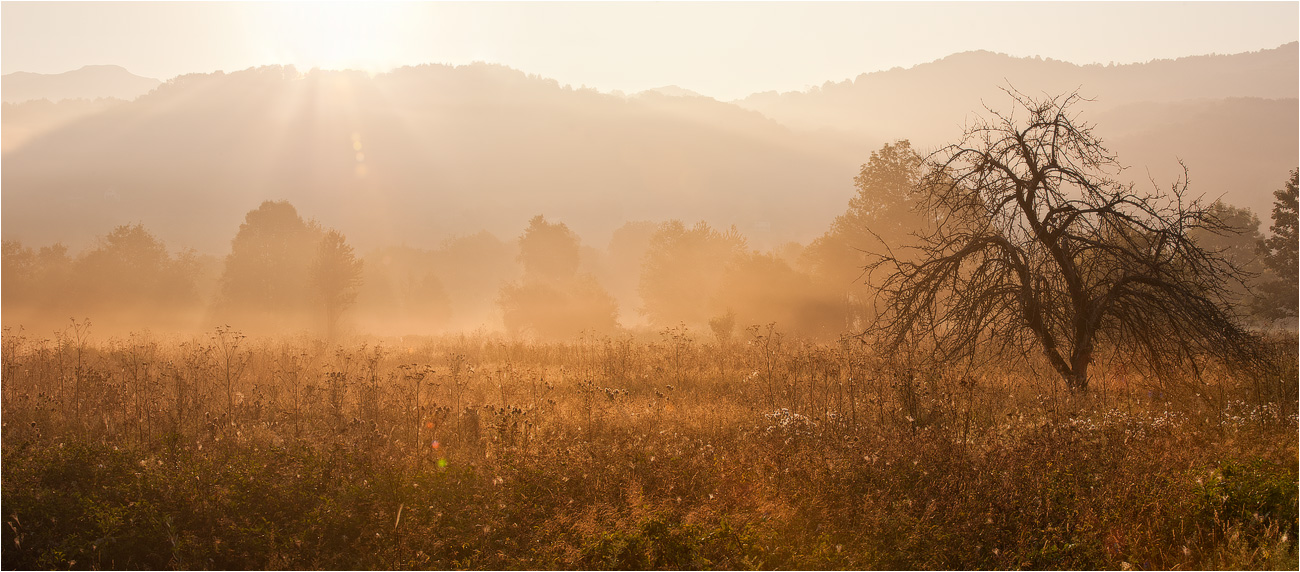 wechselnd bewölkt, noch Traurigkeit ...