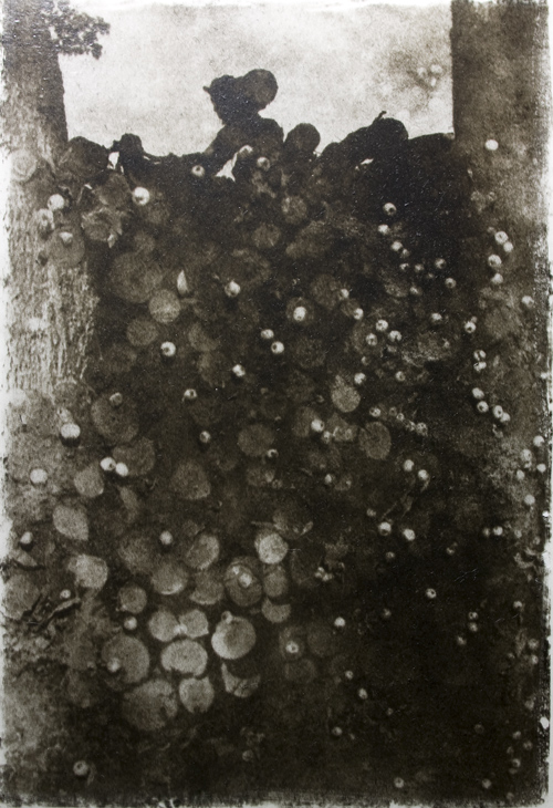 Herbst im Tal der Mumie - die Trolle