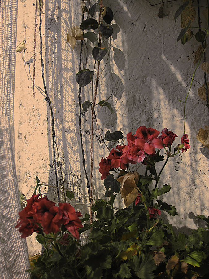 September auf dem Balkon