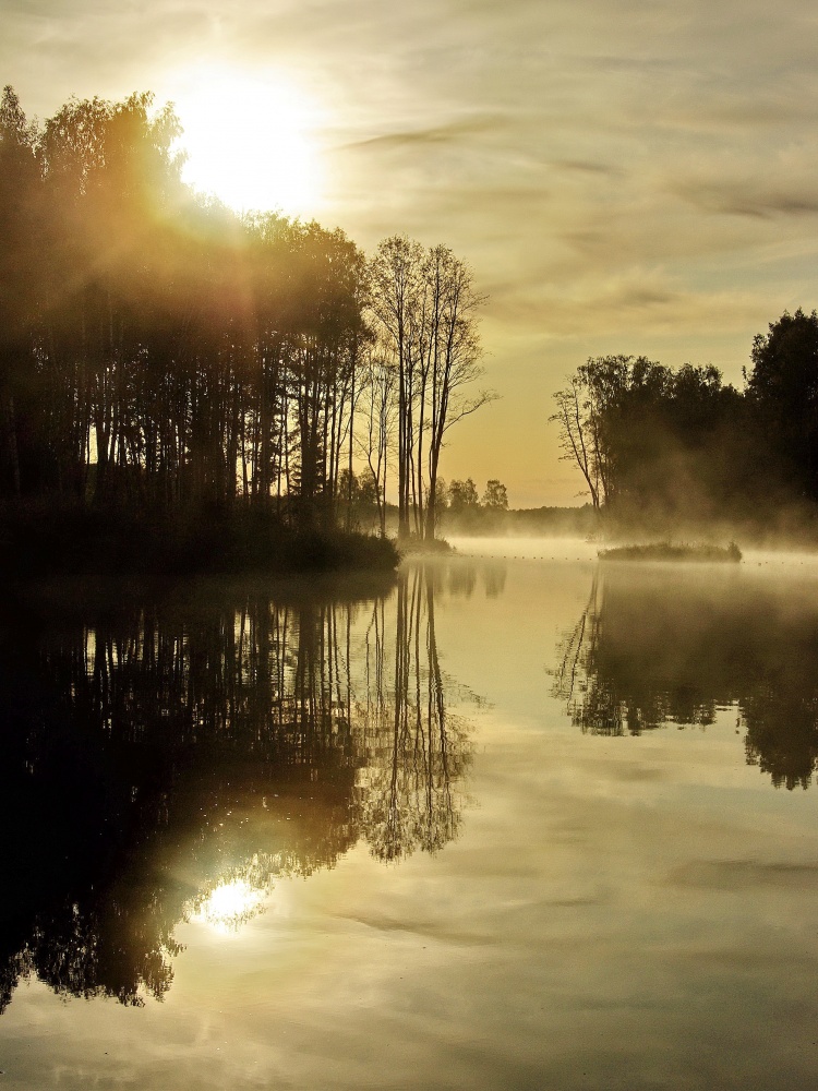 Forest Lake, September.