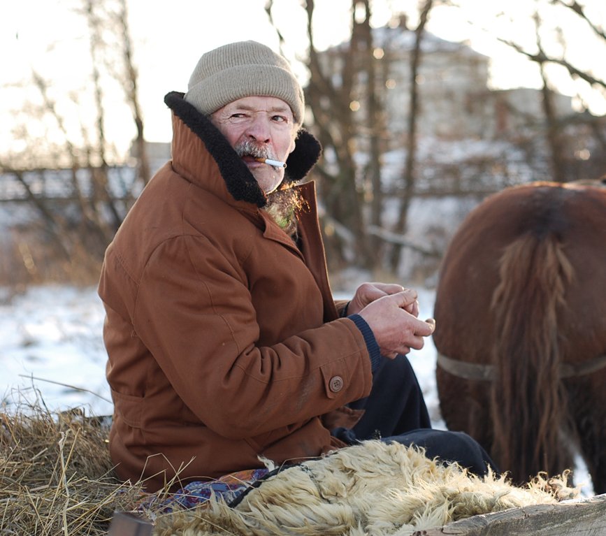 kommen in großer Zahl hier ....