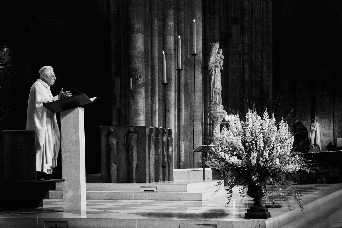 In der Dämmerung von Notre - Dame 0,2