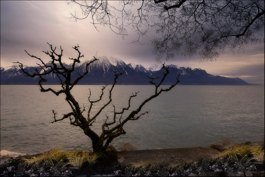 Genfer See ......
