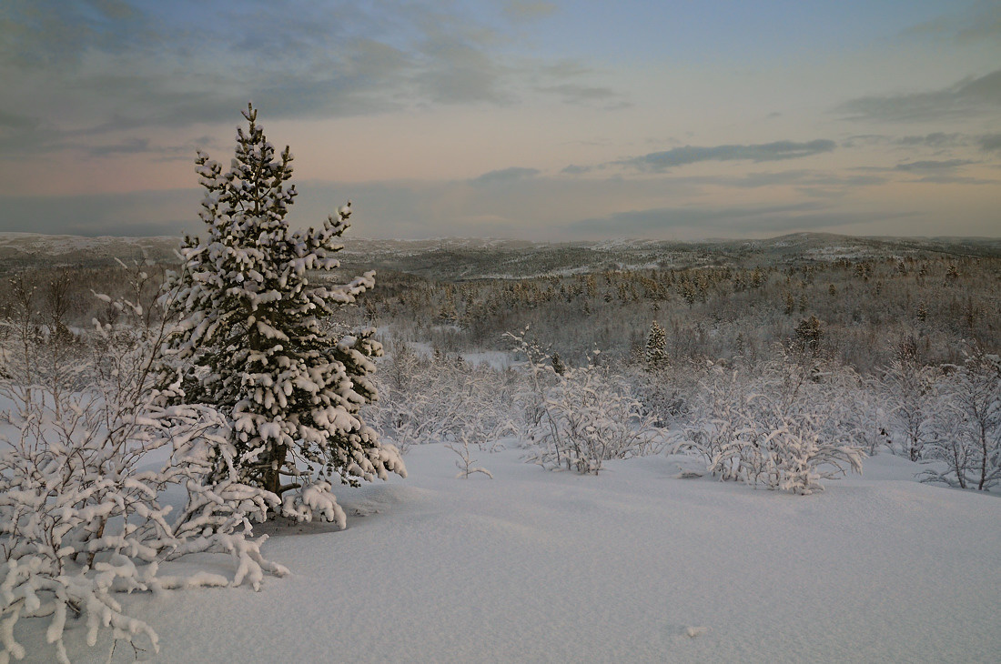 In den letzten Strahlen