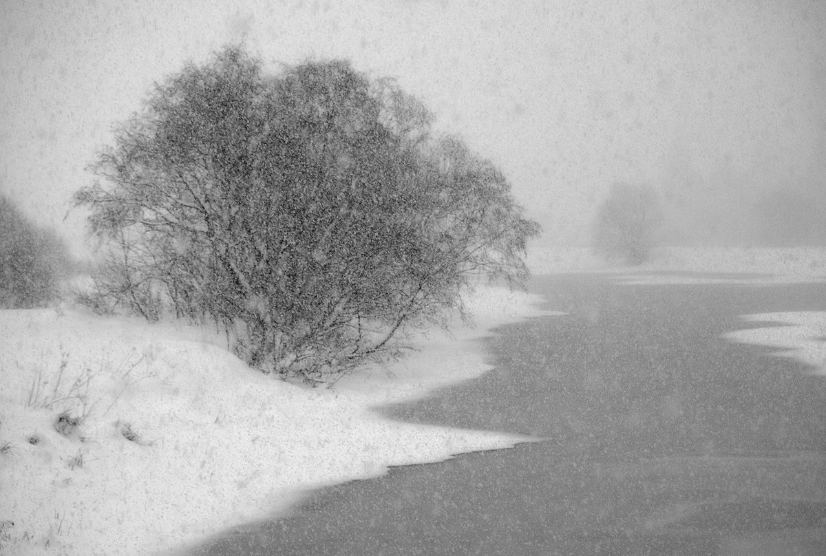 Mit Schnee bedeckt ...