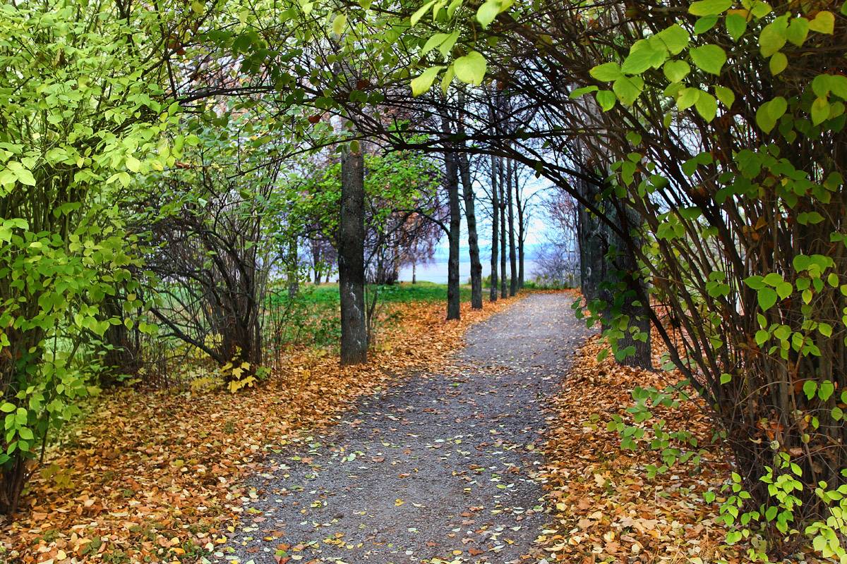 Auf den Spuren von Esenina