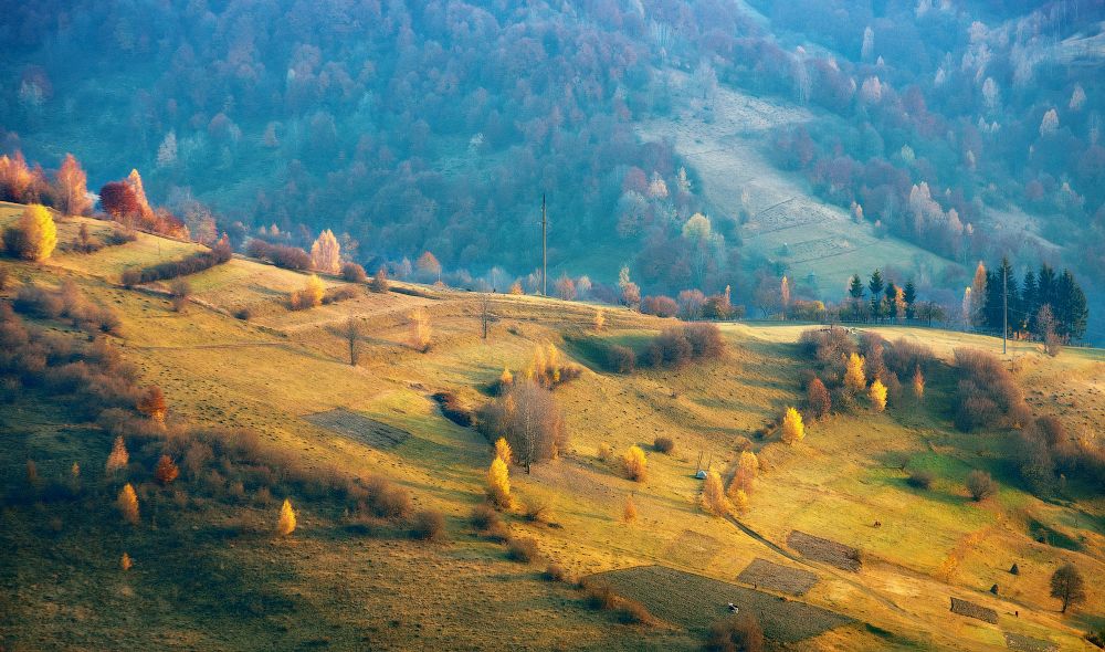 Landschaft mit einem Pferd ......